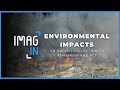 IMAGin: Environmental Impacts – An Urgent Collection