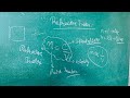 Refractive Index | Definition & Formula | Science Class 10th Unit 9 | Mohit Sir