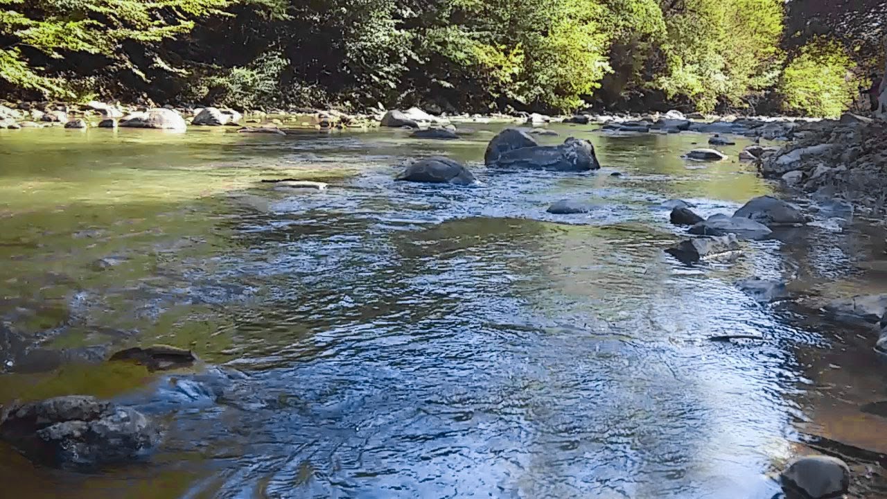 Шум воды реки. Шум воды и ручья. Звук воды ручей. Нежное журчание ручья.