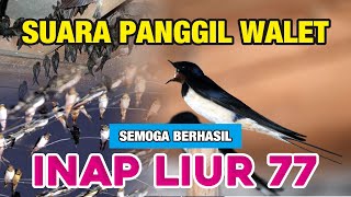 SUARA PANGGIL WALET | INAP LIUR 77