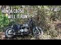 Honda CB750 left for dead - Will it run?