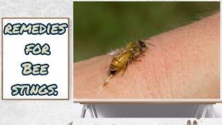 Bee stings, 7 Home remedies for Bee stings.