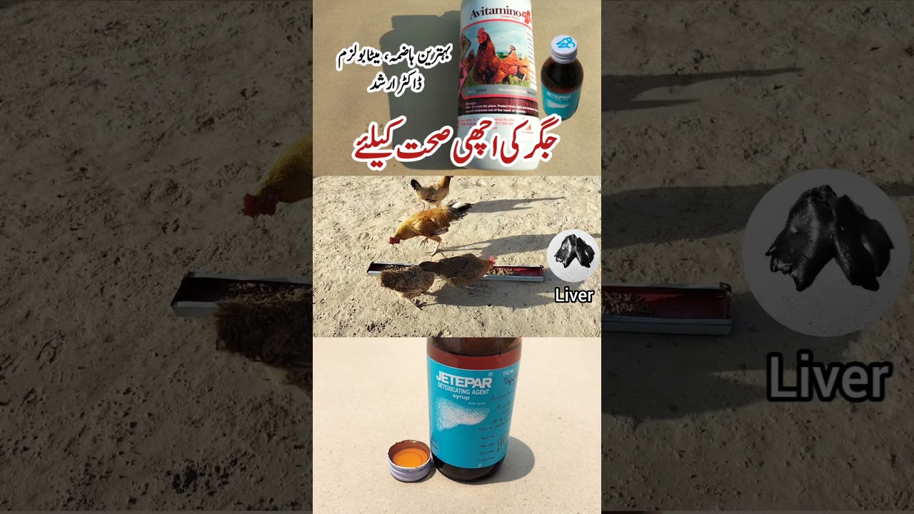 Liver Tonic for Poultry Birds | How to Keep Pets Liver Healthy and Functional | Dr. ARSHAD