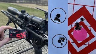 HOW is this SO ACCURATE Bolt-action accuracy out of an AR-22! BoreBuddy Apogee Match 22lr Barrel