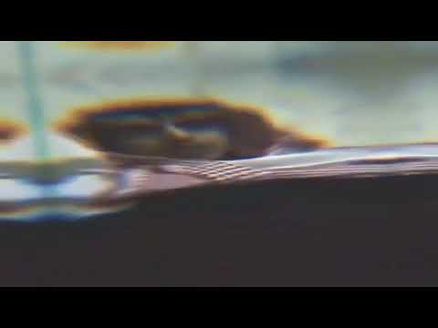 احنا زبيد الفخر 