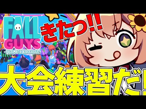 【 #FallGuys 】大会・・・・・！練習・・・・・・・・！【本間ひまわり/にじさんじ】