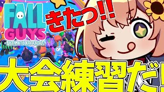 【 #FallGuys 】大会・・・・・！練習・・・・・・・・！【本間ひまわり/にじさんじ】