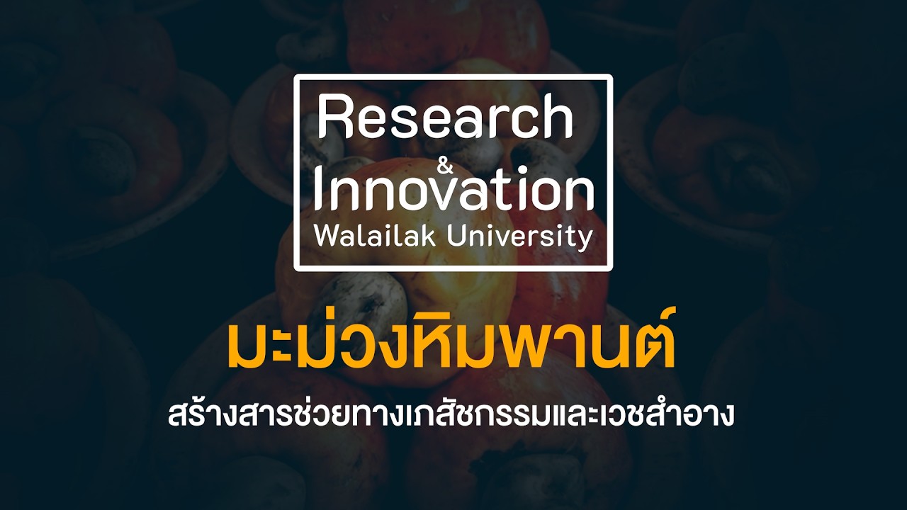 สารช่วยทางเภสัชกรรมและเวชสำอางจากมะม่วงหิมพานต์