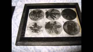 Wilson Bentley Photomicrographs in Magic Lantern Slides Presentation