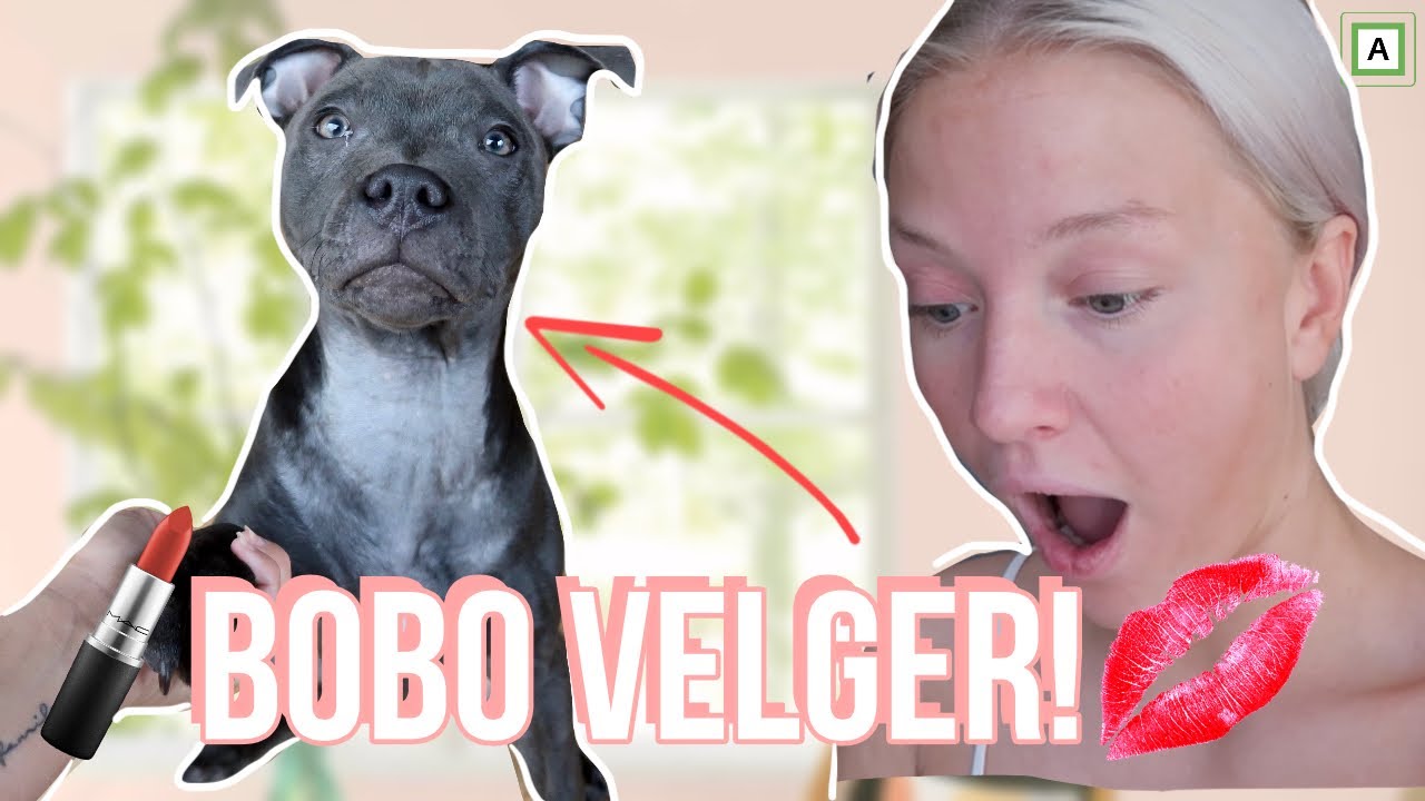 Valpen Min Velger Sminken Og Antrekket Mitt! (OMG)