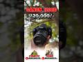 CALL - 9092566226📲 | Best Used Camera Shop 📸 | All India Delivery 🚚 | CANON 1200D