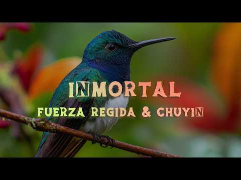 Fuerza Regida, Chuyin - Inmortal