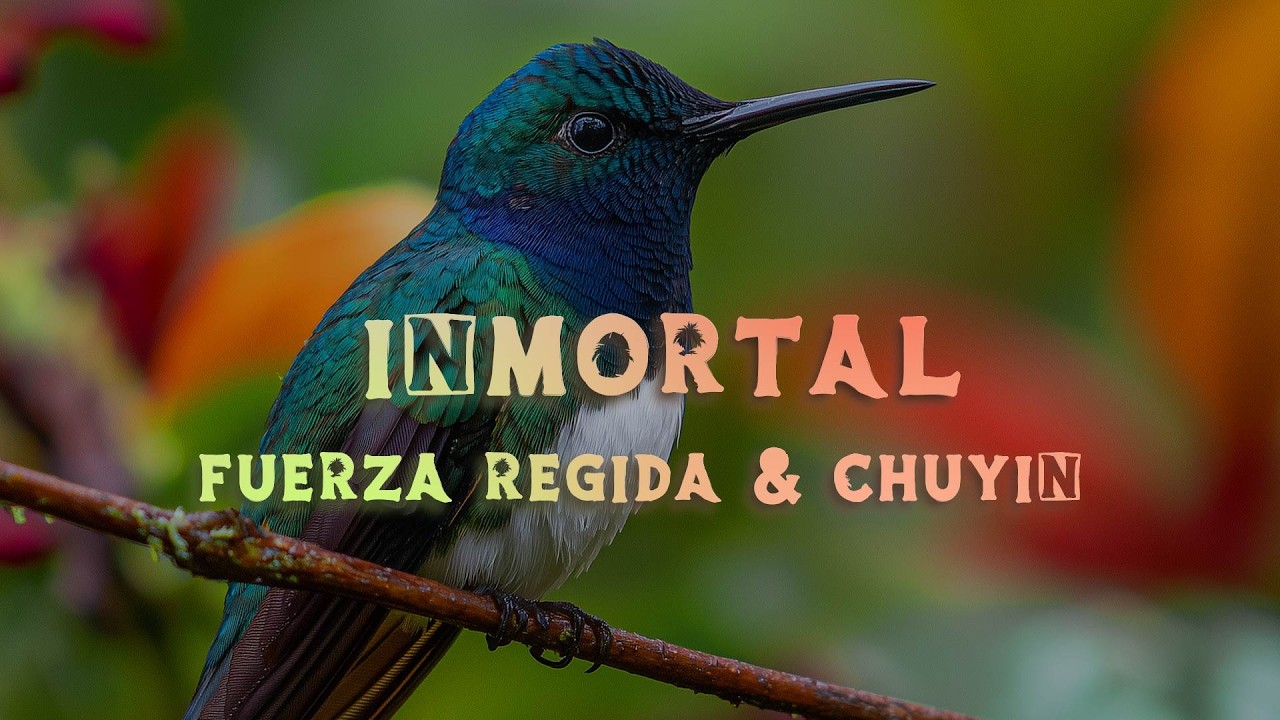 Fuerza Regida, Chuyin - Inmortal