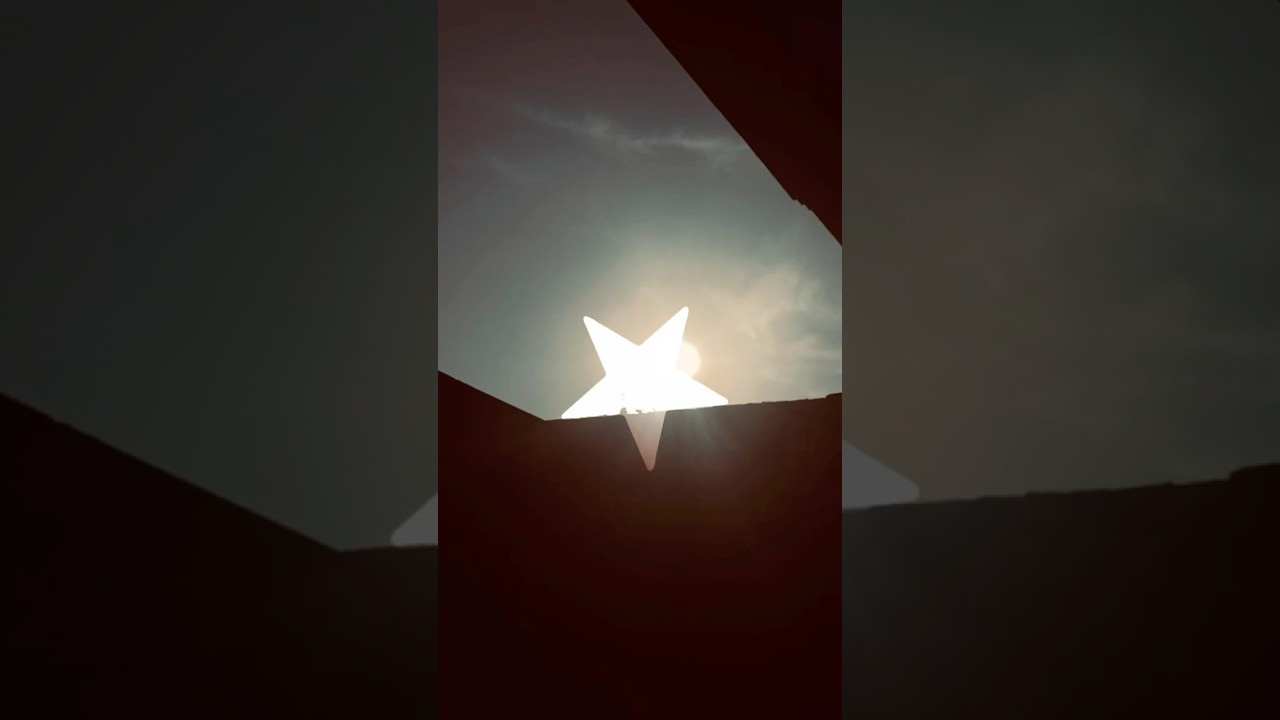 Day 04/365 of uploading  nature photos 