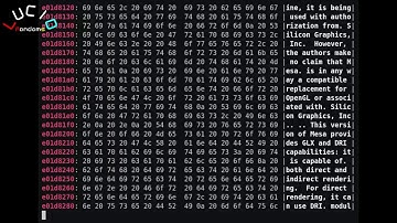 Meltdown CPU code in action