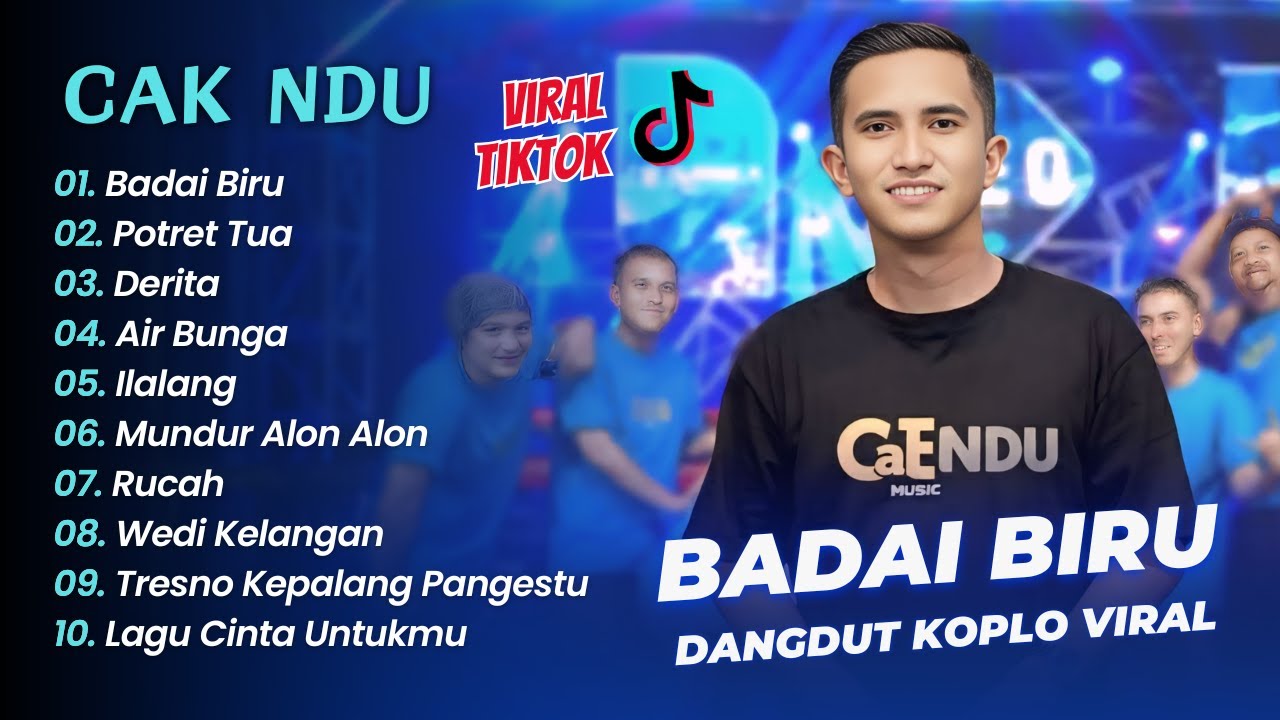 CAK NDU VIRAL TIKTOK - BADAI BIRU - POTRET TUA - DERITA || DANGDUT KOPLO HITS 2025