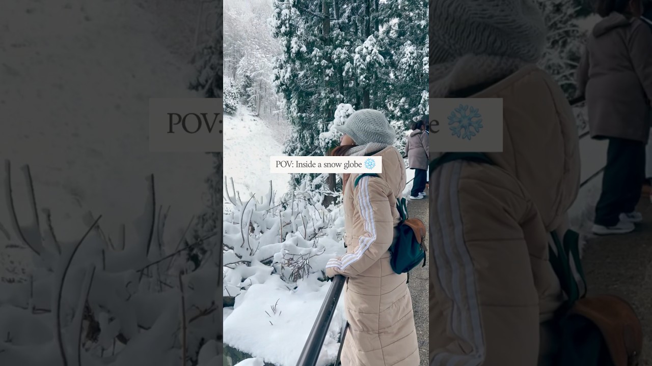 Snow Monkey Park 🐒❄️ Definitely a must see when you visit in Japan during winter! 