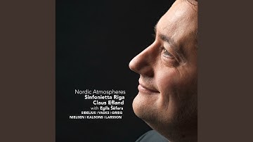 Suite for String Orchestra, Op. 1: III. Finale: Andante con moto – Allegro con brio