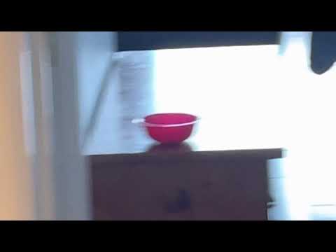 “Bomby’s greatest fear is bowls.”