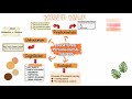 TLT ETF Explained In 3 Minutes 2025
