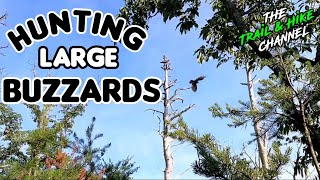 Hunting Large Buzzards With My Son | Grindstone Trail Pilot Mountain NC | The Trail & Hike Channel