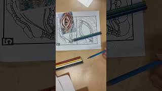 Dragon eye drawing / Art 1 Drawing A Dragon Eye Digital Art 1