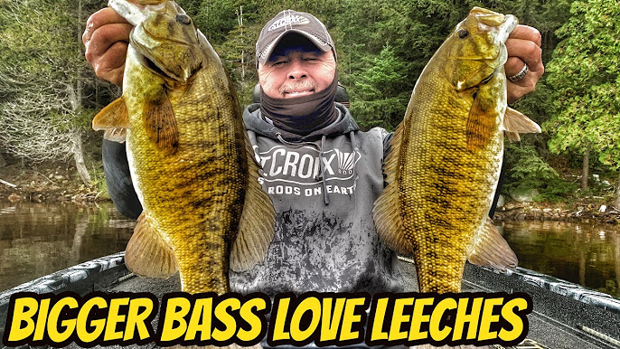 SMALLMOUTH BASS BAITS THAT CATCH! 