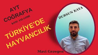 14) Türkiyede Hayvancılık Ayt Coğrafya - Dursun Kaya
