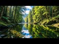 Pure Relaxing Nature 🌿 | Cinematic Earth in 16K Ultra HD | QuietForest