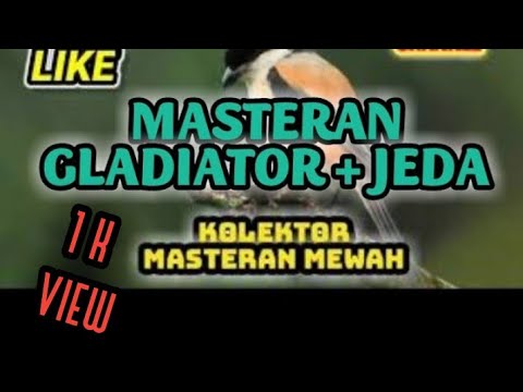 CENDET RECARE | BONGKAR MATERI MEWAH TEMBAKAN TAJAM❗