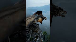 #skyfire #dragon #youtubeshorts #eldenring #eldenring #nothingimposibleinthisworld #1000subscriber