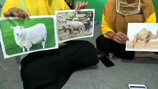 Download Lagu Lagu hewan qurban MP3