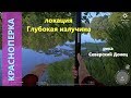 Русская рыбалка 4 - река Северский Донец - Красноперка под берегом