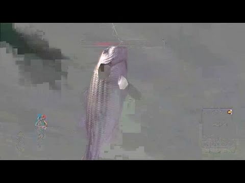 Rapala Tournament Fishing Xbox 360 Gameplay - This Is