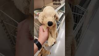 Ikea Dog GOSIG Golden #shorts #ikea screenshot 4