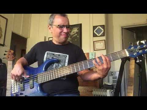 tobias-pre-gibson-6-string-bass-#676-for-sale