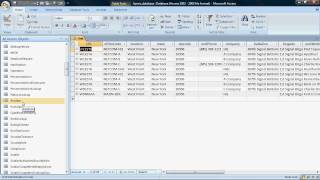 BPMS: Initial Setup of the BPMS Database