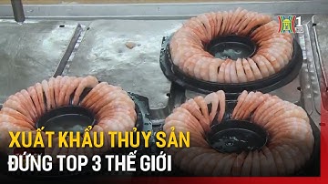 Xuất khẩu thủy sản đứng top 3 thế giới | Tin tức