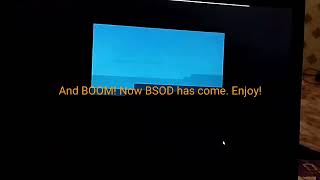 How to get BSOD using type wininit.