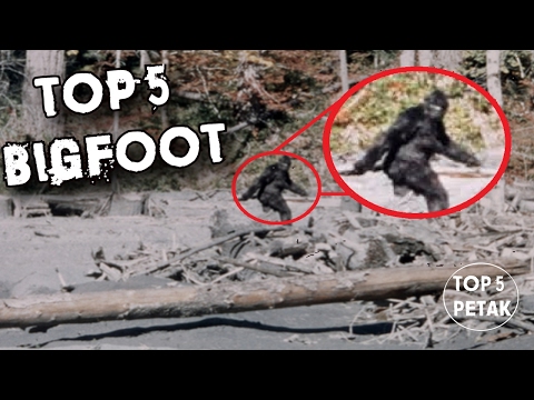 Video: Bigfoot - Je Li To Mit Ili Stvarnost? - Alternativni Prikaz