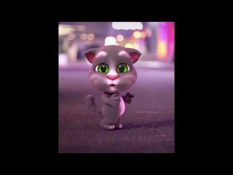 Mèo Talking Tom Dance Cute [10 Hours]