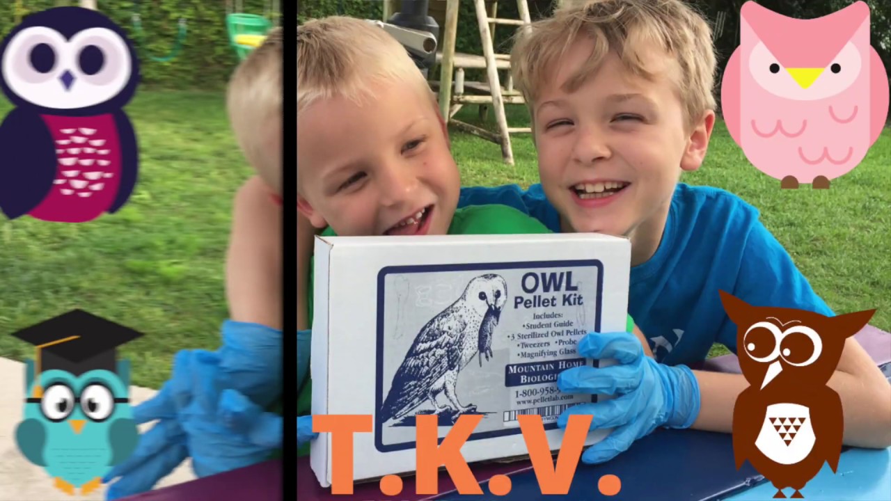 What's an Owl Pellet? Eli & Jude Explore a Mountain Home Biological Owl Pellet Kit on The Kids' View