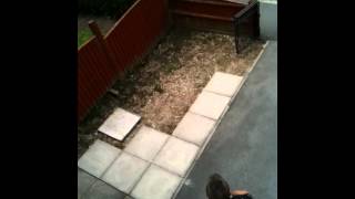 IMG 0006