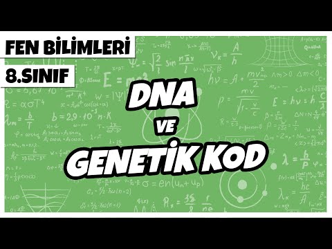 8. Sınıf Fen Bilimleri - DNA ve Genetik Kod | 2022