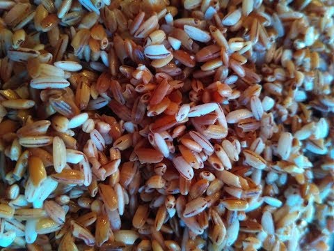 ПЛОВ ИЗ КРАСНОГО РИСА / red rice Pilaf