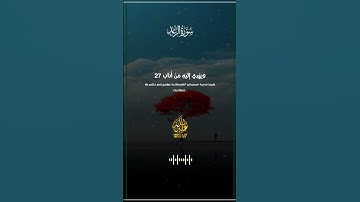 أرح سمعك🤍🎧 #القارئ_عبدالله_مصطفي