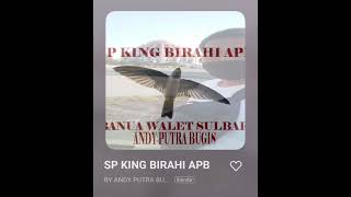 SP KING BIRAHI APB link di skripsi silahkan di unduh
