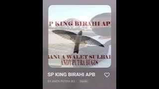 SP KING BIRAHI APB link di skripsi silahkan di unduh