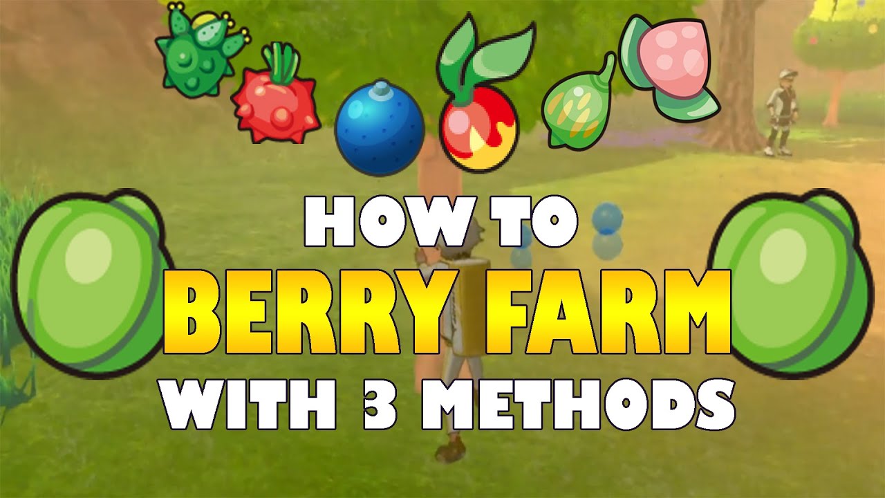 HOW TO BERRY FARM with 3 METHODS in Pokemon Sword and Shield 