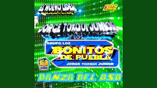 DANZA DEL OSO